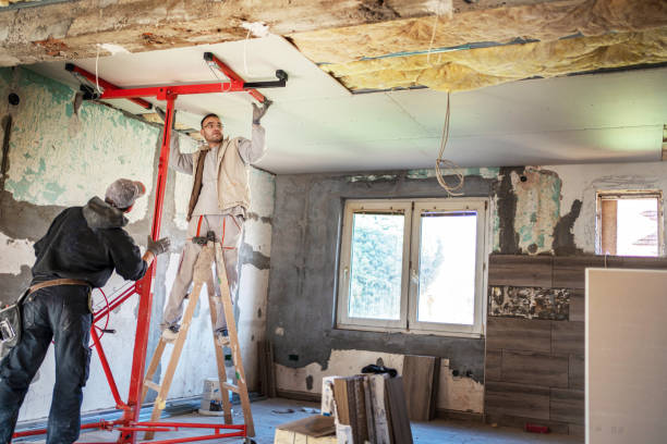 Insulation Replacement Services in Wilson, OK